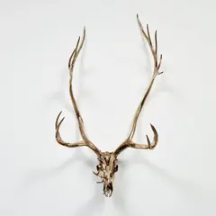 Sherrie Levine, Caribou Skull, 2006, cast bronze