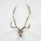 Sherrie Levine, Caribou Skull, 2006, cast bronze