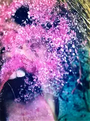 Marilyn Minter, Pink Snow, 2009, chromogenic print