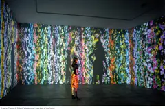 Jennifer Steinkamp, Jimmy Carter, 2002, video installation