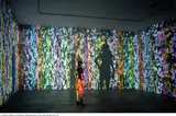 Jennifer Steinkamp, Jimmy Carter, 2002, video installation