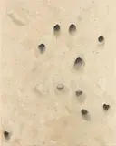 Josephine Halvorson, Drill Holes, 2011, oil on canvas