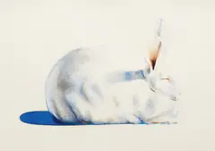 Wayne Thiebaud, Rabbit, from Seven Still Lifes and a Rabbit, 1971, Lithograph in colors, on Arches paper, with full margins