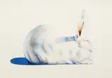 Wayne Thiebaud, Rabbit, from Seven Still Lifes and a Rabbit, 1971, Lithograph in colors, on Arches paper, with full margins
