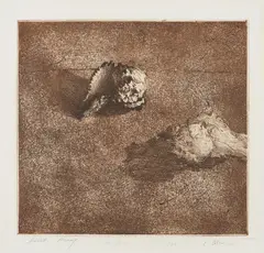 Vija Celmins, Two Shells, 1963, Etching and aquatint, on Rives BFK paper, with margins