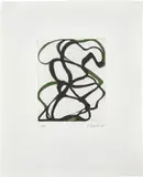 Brice Marden, The Fungoid Rock