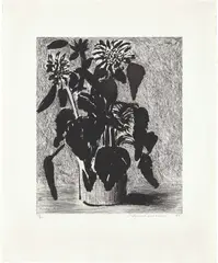 Sunflower II (M.C.A.T. 348) by David Hockney, 1996, Etching and aquatint, on Arches watercolor paper, with full margins, sold Apr 2022