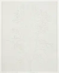 Charles Gaines, Numbers and Trees: Project 1 Edition, 2016, Digital pigment print, on wove paper, with full margins