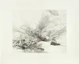 Julie Mehretu, Untitled (P. 76)