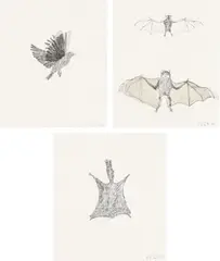 Bat; Squirrel; and Bird by Kiki Smith, 1998, Three lithographs with tracing paper collage, on wove paper, the full sheets, sold Apr 2022
