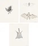 Kiki Smith, Bat; Squirrel; and Bird, 1998, Three lithographs with tracing paper collage, on wove paper, the full sheets