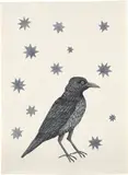 Kiki Smith, Bird with Stars, 2005, Etching, drypoint and aquatint, on Magnani Handmade Velata Ivory paper, the full sheet