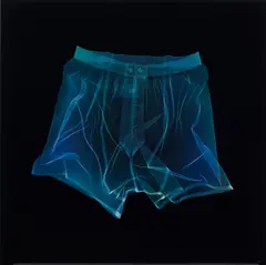 Nick Veasey, Boxer Shorts, 2008, Chromogenic print mounted to dibond (as issued)