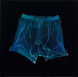 Nick Veasey, Boxer Shorts, 2008, Chromogenic print mounted to dibond (as issued)