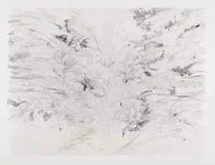 Entropia (construction) by Julie Mehretu, 2005, Lithograph, on Gampi chine collé to Somerset paper, with full margins, sold Oct 2022