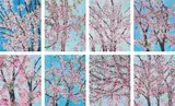 The Virtues (H. 9) by Damien Hirst, 2021, The complete series of eight laminated giclée prints in colors, flush-mounted to aluminium with metal strainers on the r, sold Oct 2022
