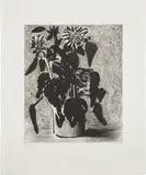 David Hockney, Sunflower II (M.C.A.T. 348), 1996, Etching and aquatint, on Arches watercolor paper, with full margins