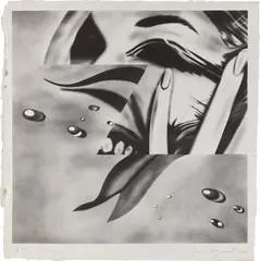 Zone (G. 53) by James Rosenquist, 1972, Lithograph, on Hodgkinson handmade Wookey Hole paper, with full margins, sold Oct 2022