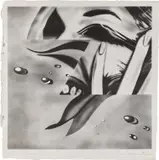 James Rosenquist, Zone (G. 53), 1972, Lithograph, on Hodgkinson handmade Wookey Hole paper, with full margins