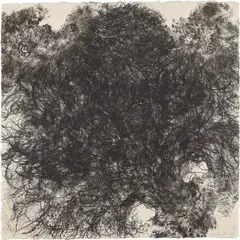 Untitled (W. 43) by Kiki Smith, 1990, Lithograph, on Japanese paper, the full sheet, sold Oct 2022