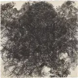 Kiki Smith, Untitled (W. 43), 1990, Lithograph, on Japanese paper, the full sheet