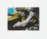 John Baldessari, Man with Snake (Blue and Yellow), from Harvey Gantt for Senate Campaign Committee (G. 1455, H. 52)