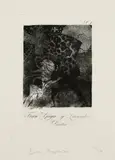 Jake and Dinos Chapman, Dinos not Jake, Reworked and improved etching from Francisco de Goya's 'Los Caprichos', 2006, Etching, on wove paper, with full margins