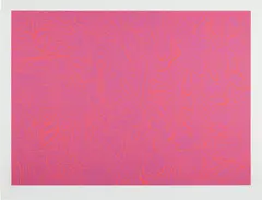 Sue Williams, The Wiggliness, 2004, Screenprint in colors, on Somerset paper, with full margins
