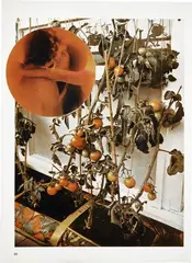 The Tomato Lovers by Wade Guyton, 2006, Chromogenic print in colors, on Fujicolor Crystal Archive paper, with full margins, sold Oct 2022