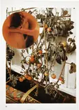 Wade Guyton, The Tomato Lovers, 2006, Chromogenic print in colors, on Fujicolor Crystal Archive paper, with full margins