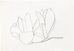 Magnolia (A. 56) by Ellsworth Kelly, 1966, Lithograph, on Rives BFK paper, with full margins, sold Jun 2022