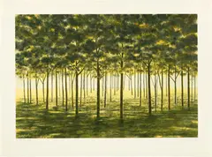 April Gornik, Mirror Forest, 2001, Etching in colors, on Rives BFK paper, with full margins