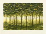 April Gornik, Mirror Forest, 2001, Etching in colors, on Rives BFK paper, with full margins