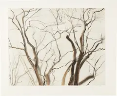 Sylvia Plimack Mangold, The Locust Trees (state II), 1988, Drypoint and aquatint, on wove paper, with margins, unevenly trimmed at the sheet edges