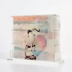Opal Gospel by Robert Rauschenberg, 1971, The complete set of 10 screenprints in colors, on transparent acrylic panels, all contained in the original steel case w, sold Jun 2022