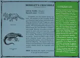 Mark Dion, Morelet's Crocodile Project for the Belize Zoo, 1989, Screenprinted aluminum sign