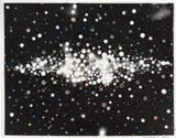 Fred Tomaselli, Untitled, 2006, Photo collage and gouache drawing on unique photogram