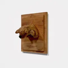 Pope.L, Trophy (Puppy), 2007, Stuffed animal, peanut butter, matte medium, screws and wood wall sculpture, contained in the original custom plywood box