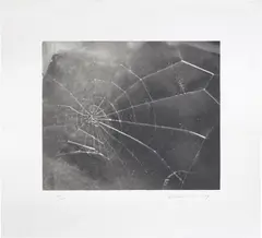 Spiderweb (R. p. 210) by Vija Celmins, 2009, Screenprint, on wove paper, with full margins, sold Mar 2022