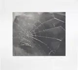 Vija Celmins, Spiderweb (R. p. 210), 2009, Screenprint, on wove paper, with full margins