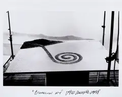 Vik Muniz, Brooklyn, NY, 1998, Gelatin silver print