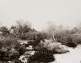 Robert Adams, Santa Ana Wash, next to Norton Air Force Base, California, 1978, Gelatin silver print