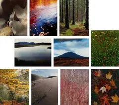 Eliot Porter, In Wildness, New York: Daniel Wolf Press, 1981. Ten dye transfer prints