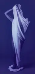Carrie Mae Weems, The Apple of Adam’s Eye, 1996, Monochrome chromogenic print