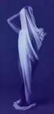 Carrie Mae Weems, The Apple of Adam’s Eye, 1996, Monochrome chromogenic print