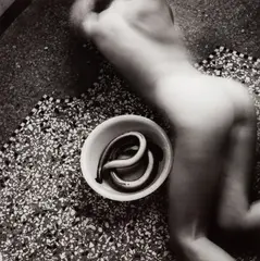 Untitled, from Eel Series by Francesca Woodman, 1977-1978, Gelatin silver print, printed later, sold Apr 2022
