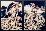 The Raft of the Medusa, after Géricault from Pictures of Chocolate by Vik Muniz, 1999, Dye destruction print diptych, offered Apr 2022