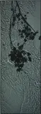 Susan Derges, The River Taw (New Moon Ivy), Oct 20.
