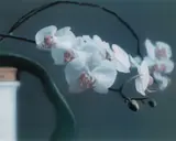Gerhard Richter, Orchidee II, 1998, Offset lithograph in colors