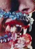 Marilyn Minter, Vampire